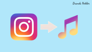 Download IG audio