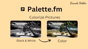 palette fm